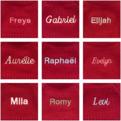 Bashful Black & Cream Puppy with Personalised Red Jumper