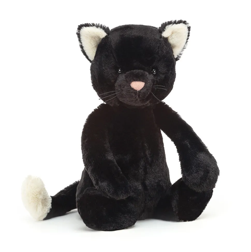 Bashful Black Kitten
