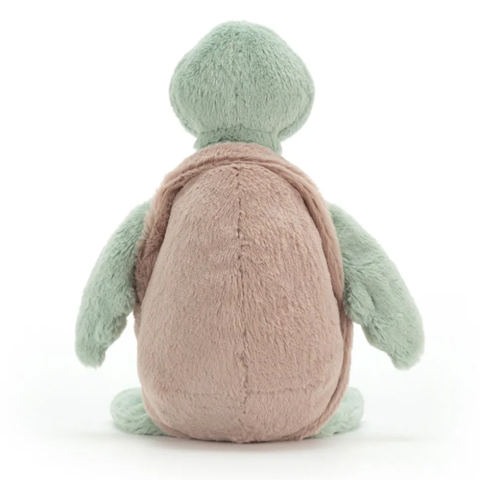 Bashful Turtle