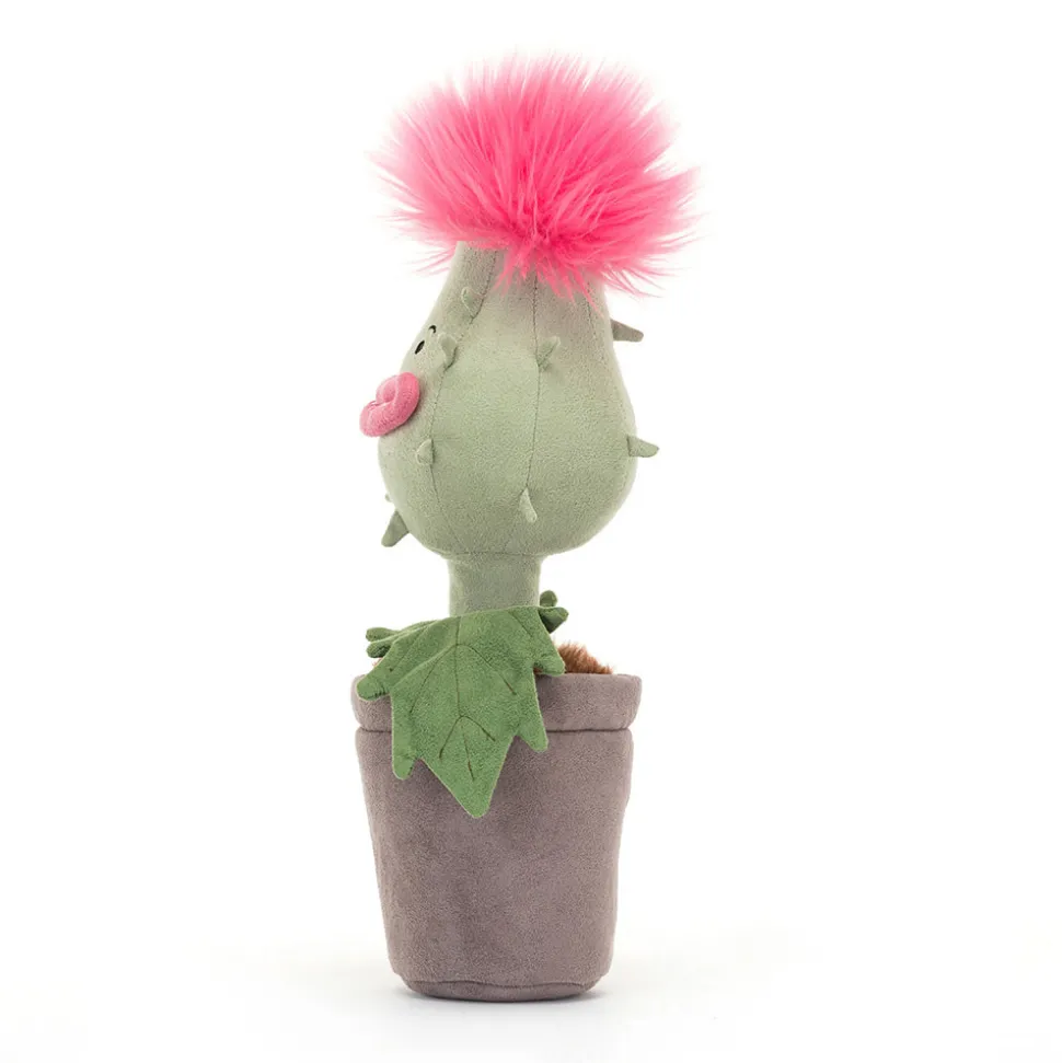 Carniflore Priscilla