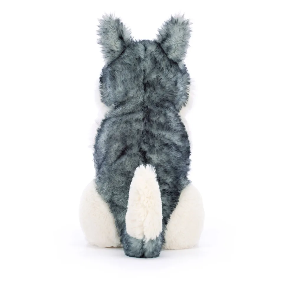 Jackson Husky