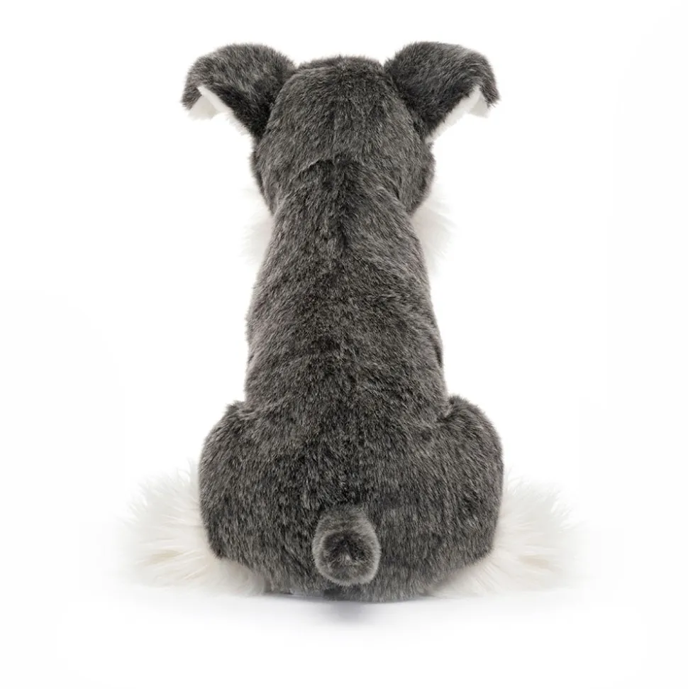 Lawrence Schnauzer