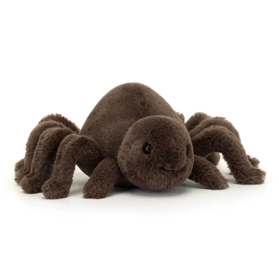 Ooky Spider