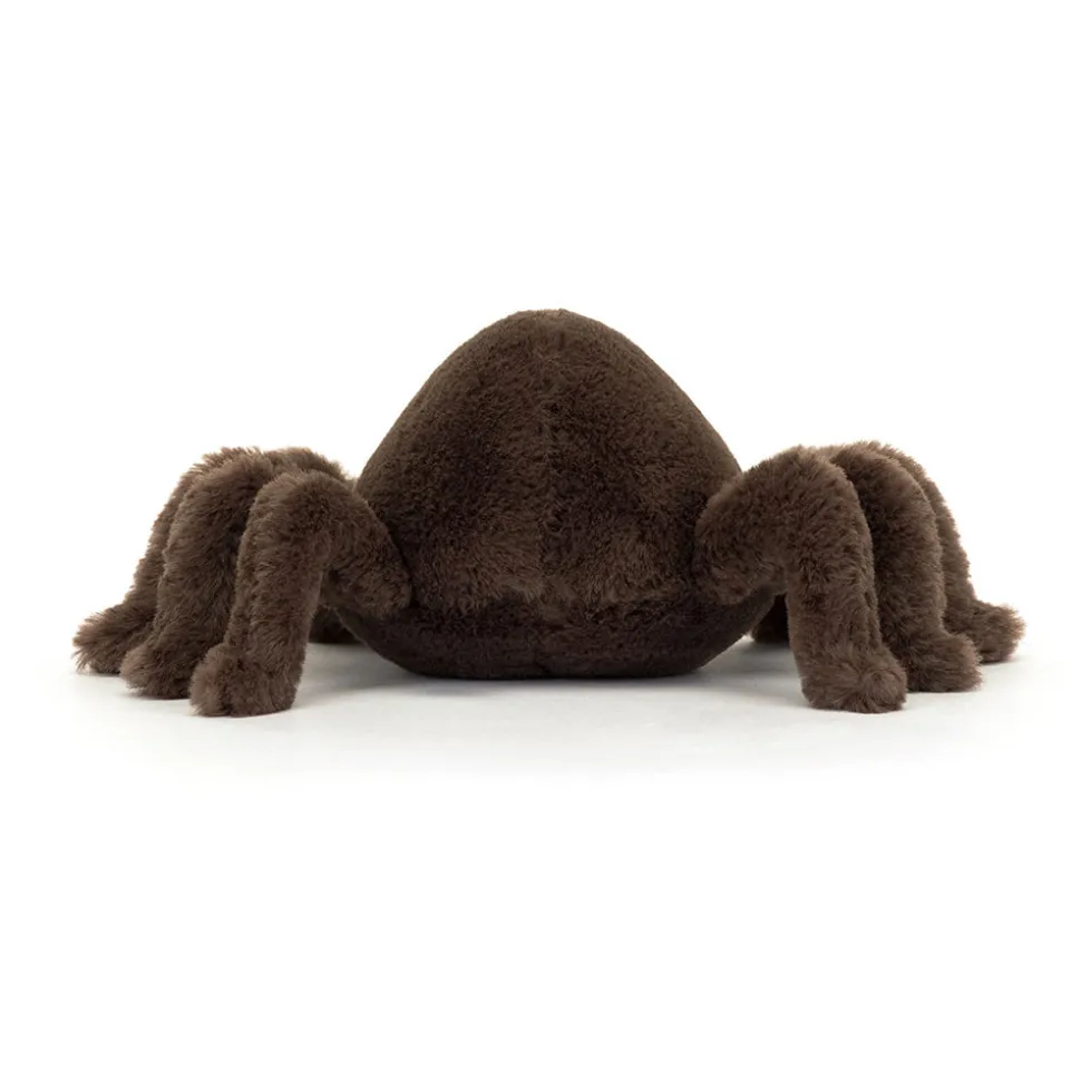 Ooky Spider