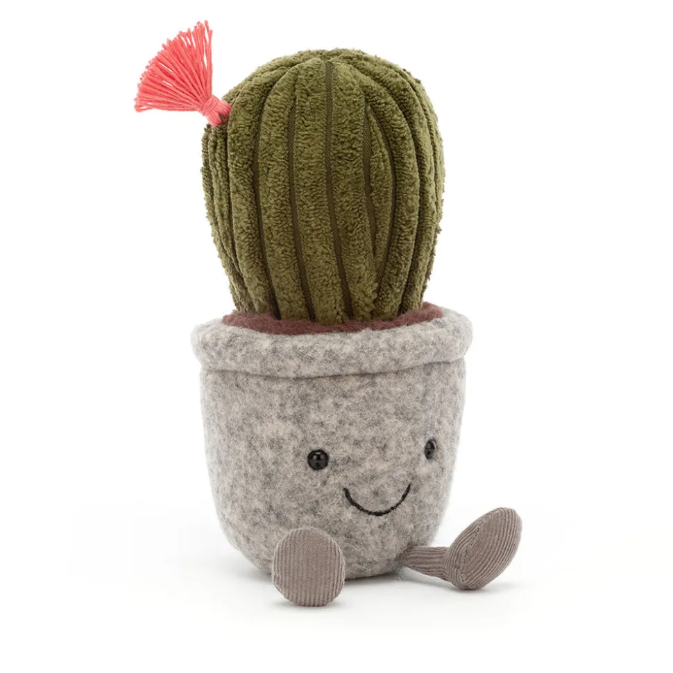 Silly Succulent Barrel Cactus